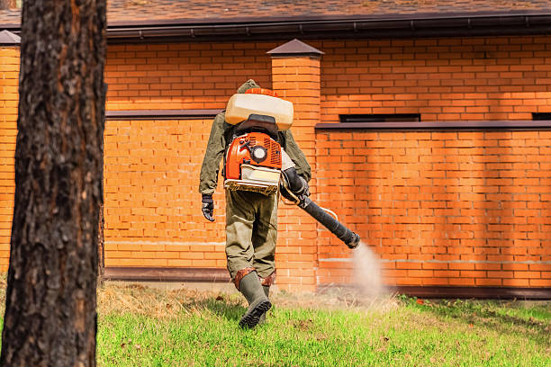 Bed Bug Clearance Verification and Documentation in La Vale